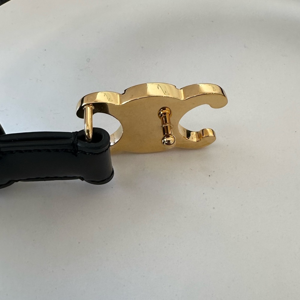 CELINE SMALL TRIOMPHE BELT IN TAURILLON LEATHER - Picture 5 of 13